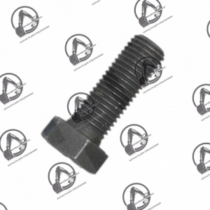 Болт 06.01494-4506