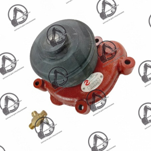 D20-000-32+B Насос водяной D20-000-32+B/B0135AS49872S00 016322+01/860123187