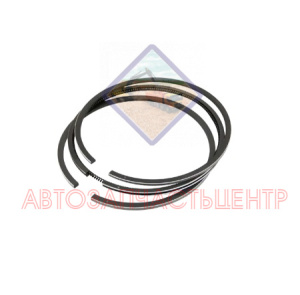 Кольца поршневые в сборе (18штук) / J32001004040SF26