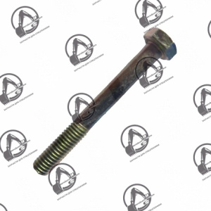 Болт 06.01013-9118